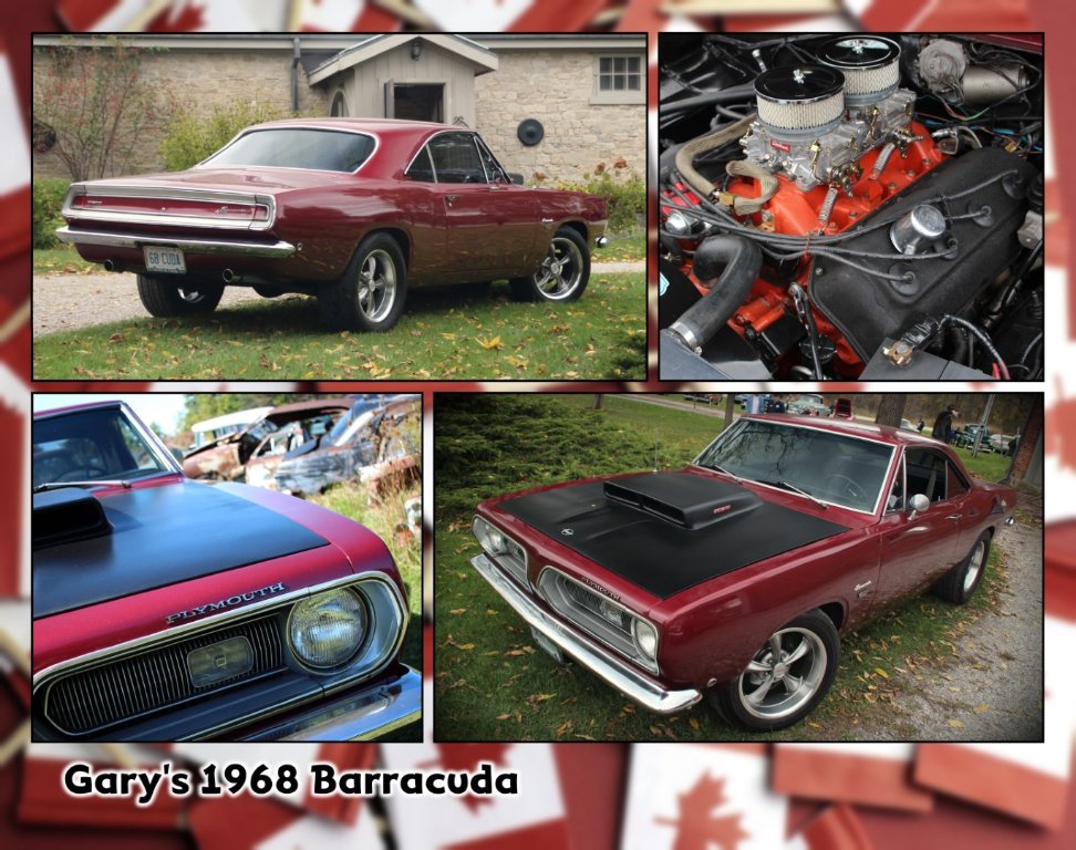 07_Garys_Cuda (Large).jpg