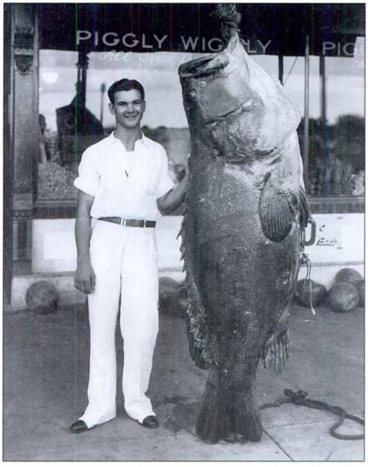 1931- Allen Hargrove posing with a 650lb jewfish.jpg