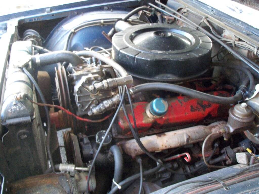 1966 300 revival 076.JPG