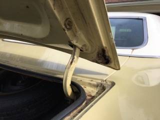 1972 Trunk lid up.jpeg