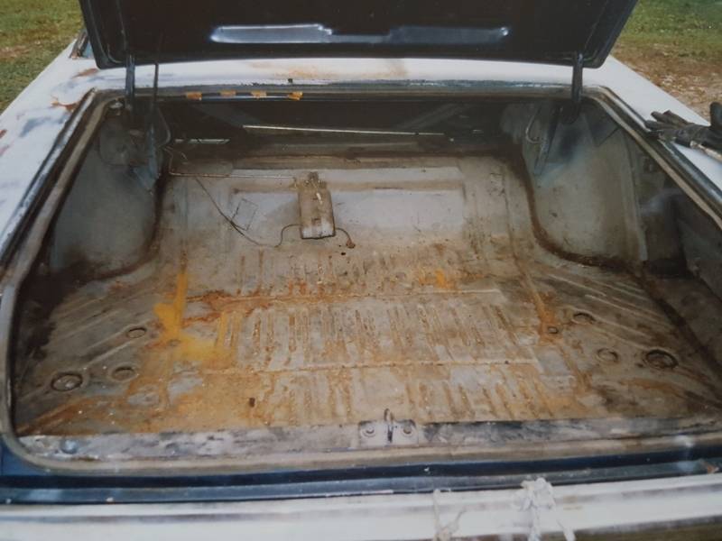 20170524_210711 (800x600).jpg