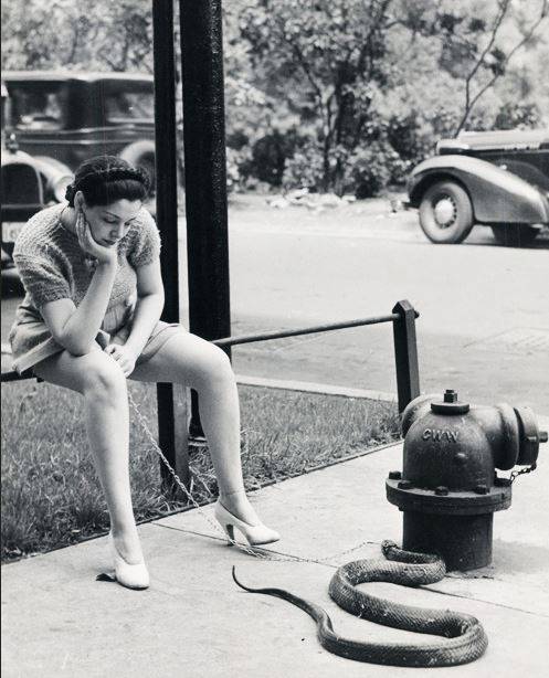 44-burlesque-dancer-zorita-walks-her-pet-snake-1937-jpg.jpg