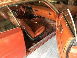 46118144_10215086979065533_7717853280822362112_n.jpg?_nc_cat=111&_nc_ht=scontent.fphx1-1.jpg 46118144_10215086979065533_7717853280822362112_n.jpg?_nc_cat=111&_nc_ht=scontent.fphx1-1.jpg