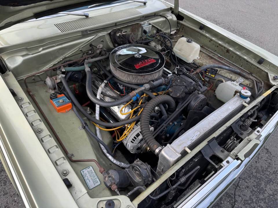 480564427_10223226752857586_8765002708450240688_n (1).jpg