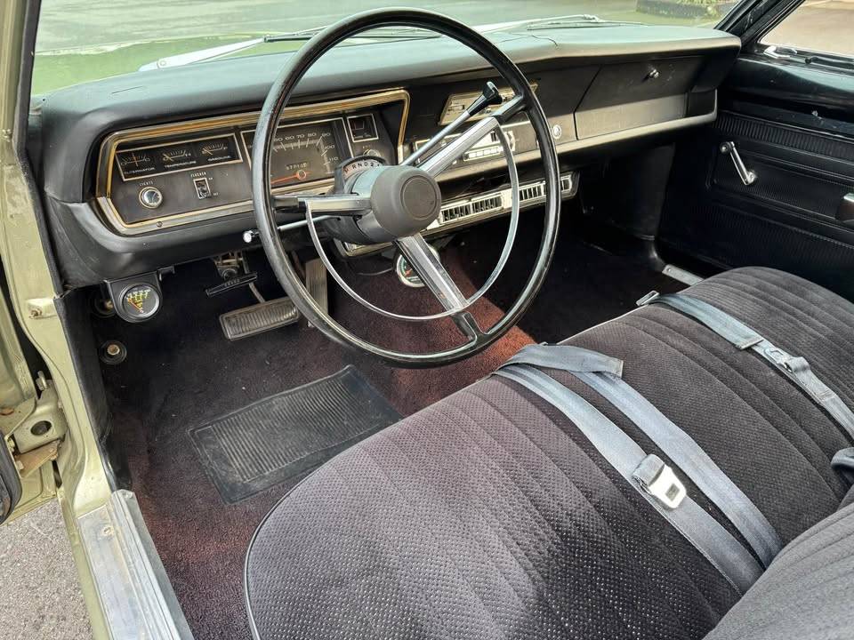 480636532_10223226753897612_5385860254168103877_n (1).jpg