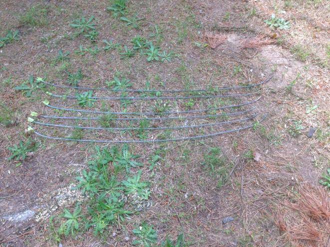 65 newport-69 fury 014.jpg