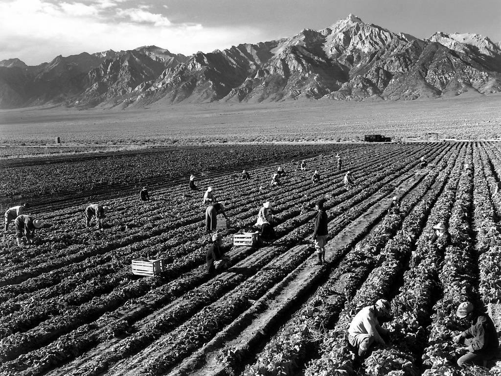 Ansel_Adams_-_Farm_workers_and_Mt._Williamson.jpg