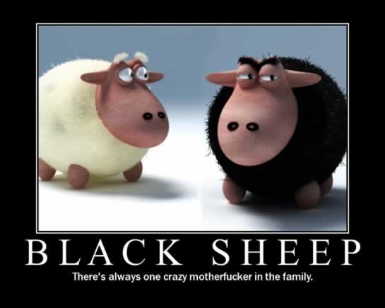 Black Sheep.jpg