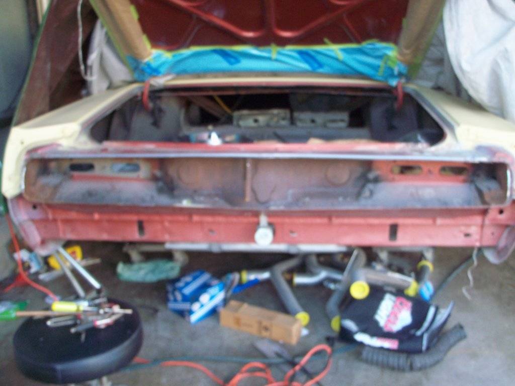 boab feb 2017 001.JPG