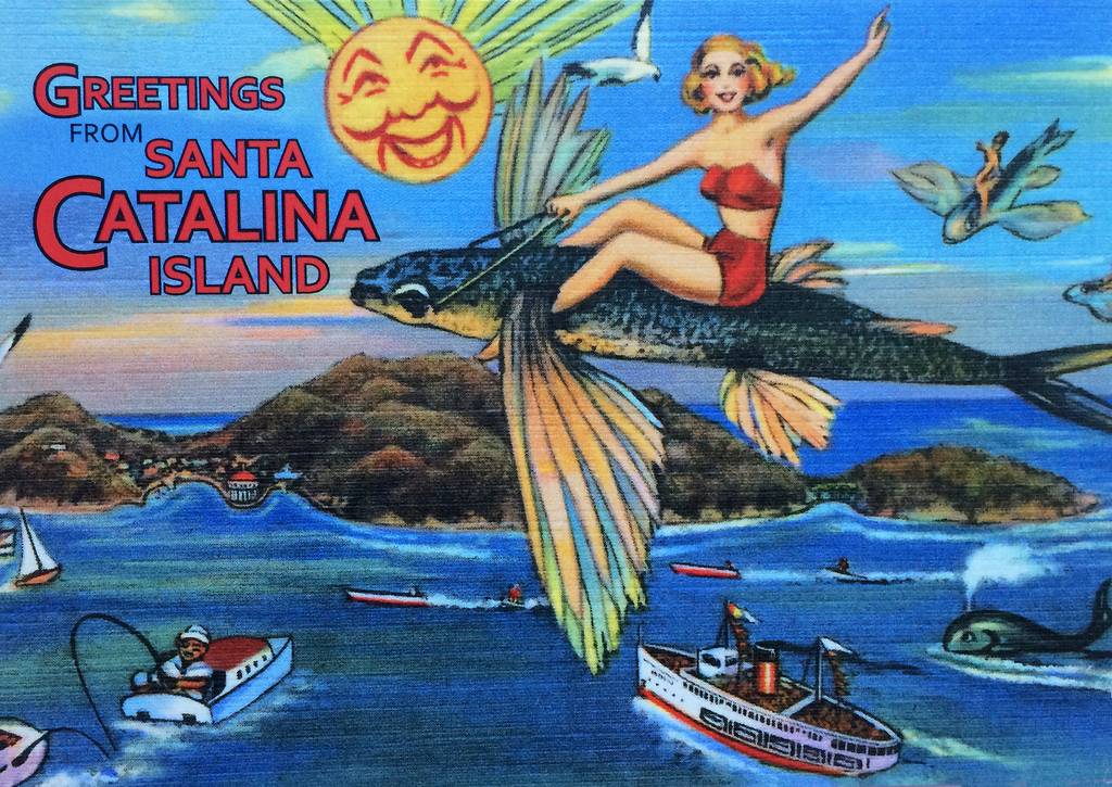 catalina-flying-fish-postcard.jpg