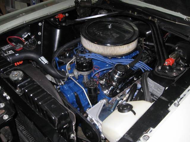 Cougar_engine_005.JPG