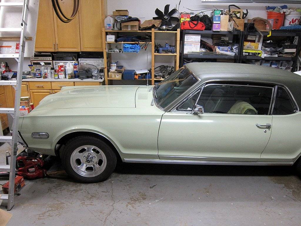 Cougar_garage_2024.jpg