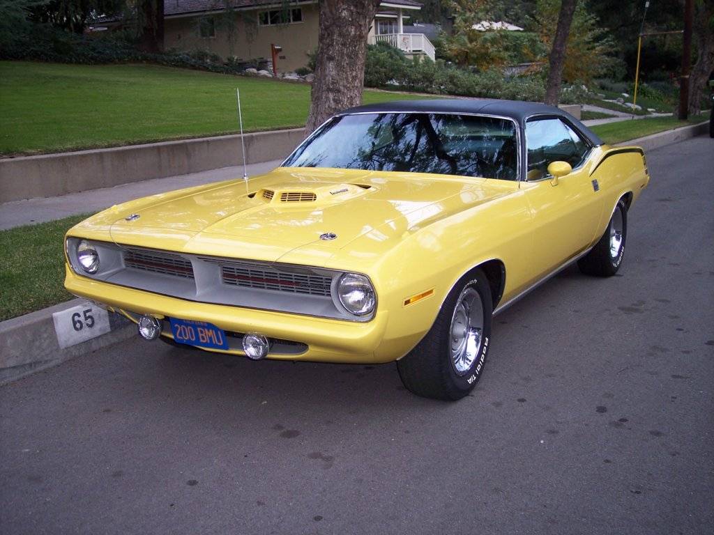 Cuda #2 (1) (1) (1).jpg