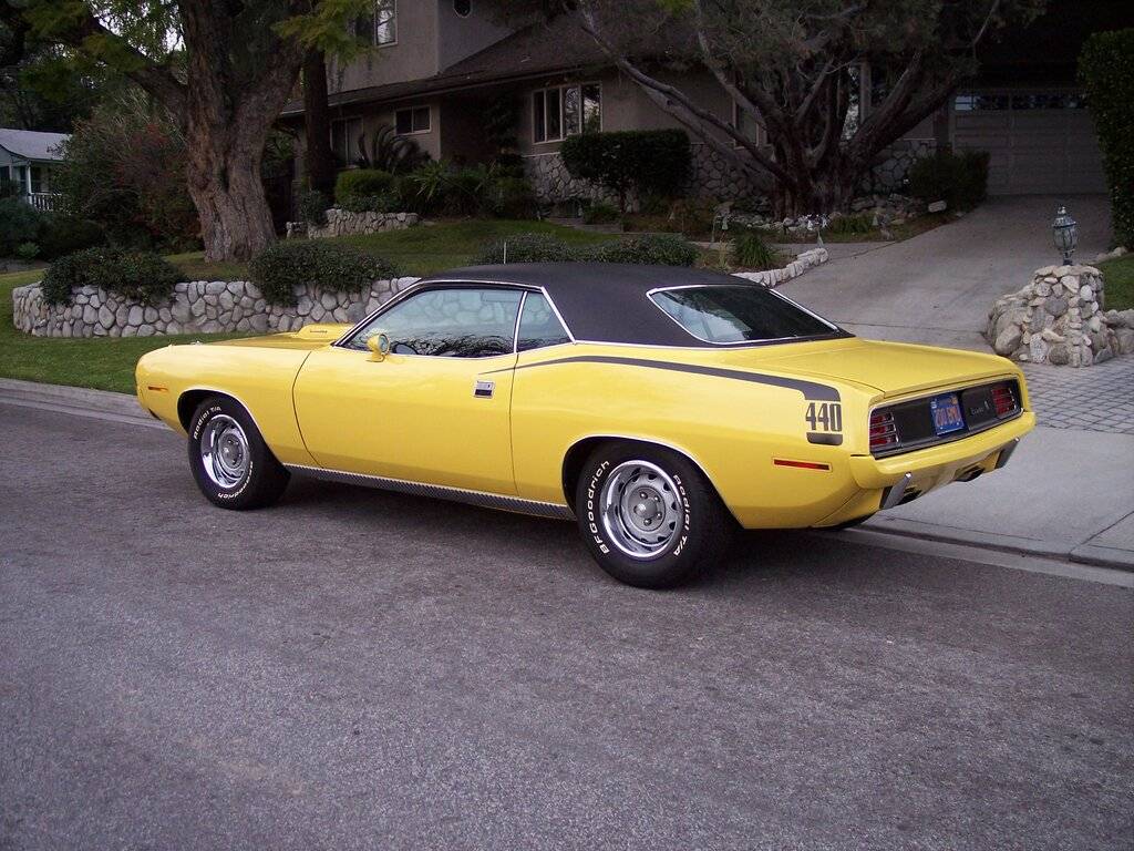 Cuda #5 (1) (1) (1).jpg