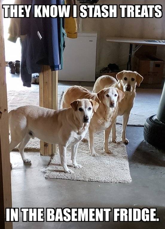 Custom Image 01112018124430.jpg