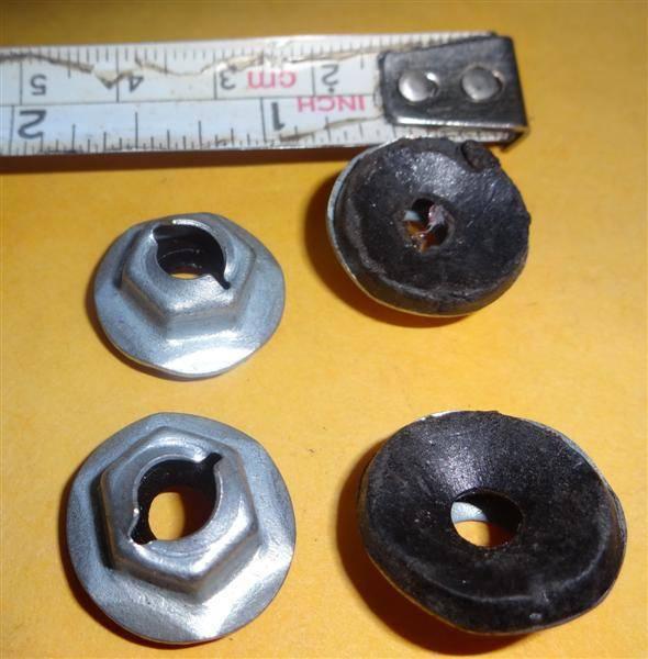 DSC00223 (Medium).JPG