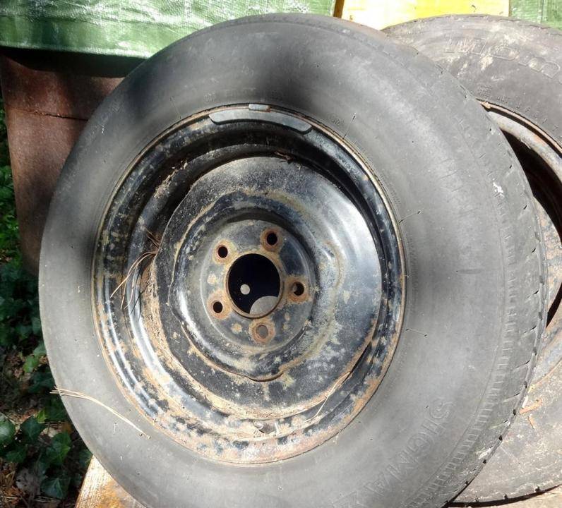 DSC01270 (Large).jpg