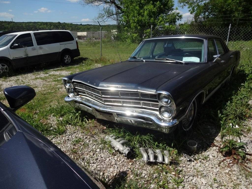 DSC02763 (Large).JPG