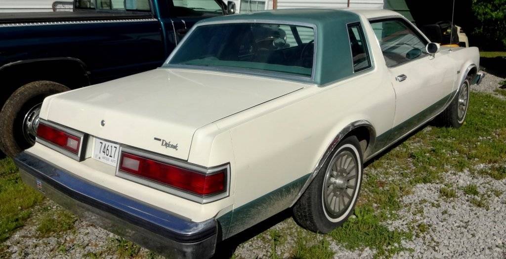 DSC02869 (Large).JPG