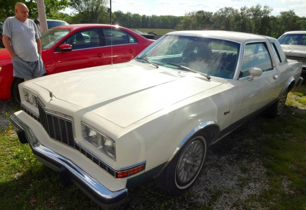 DSC02870 (Large).JPG