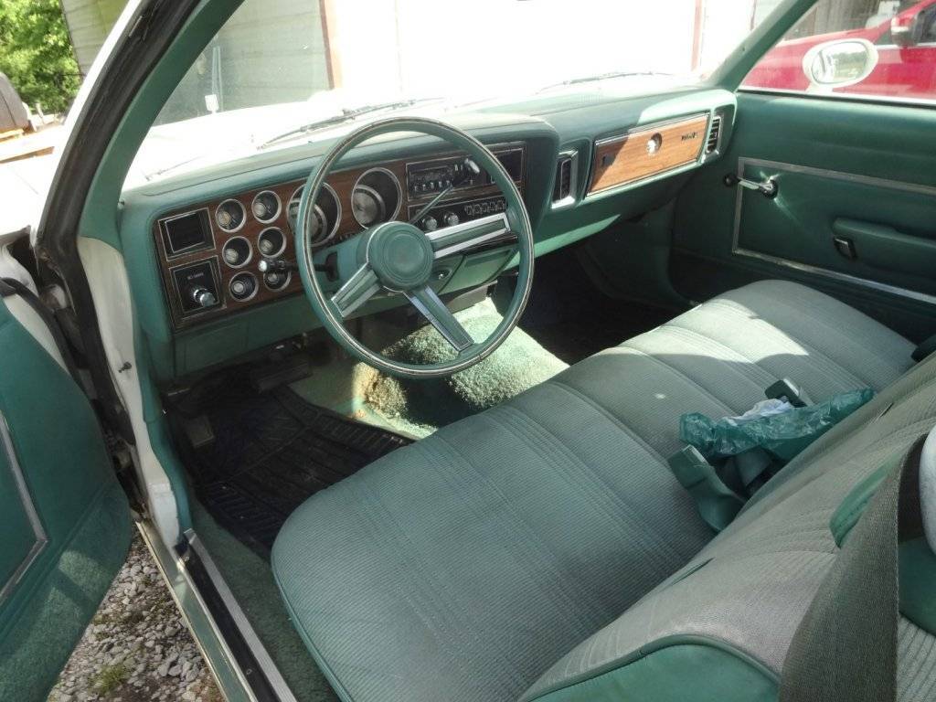 DSC02871 (Large).JPG