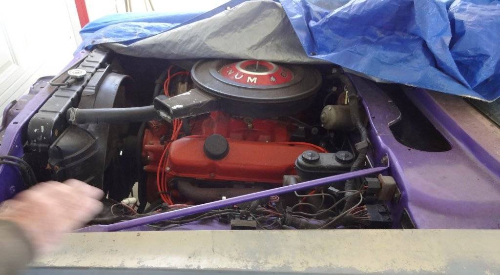 DSC02893 (Large).JPG