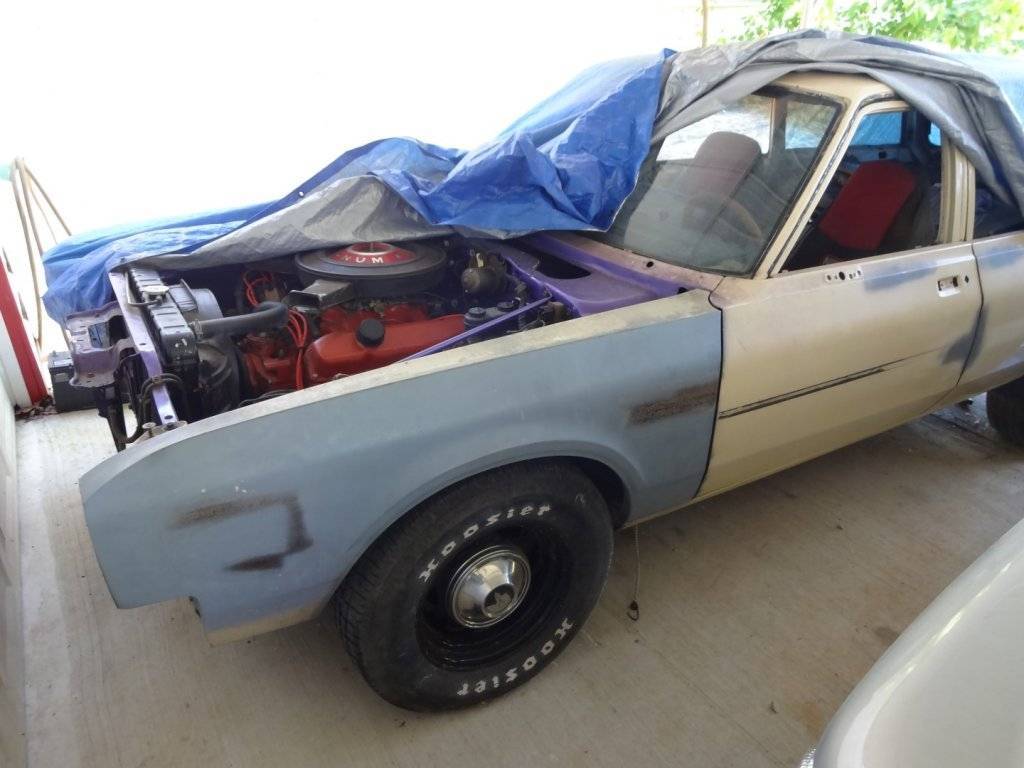 DSC02894 (Large).JPG