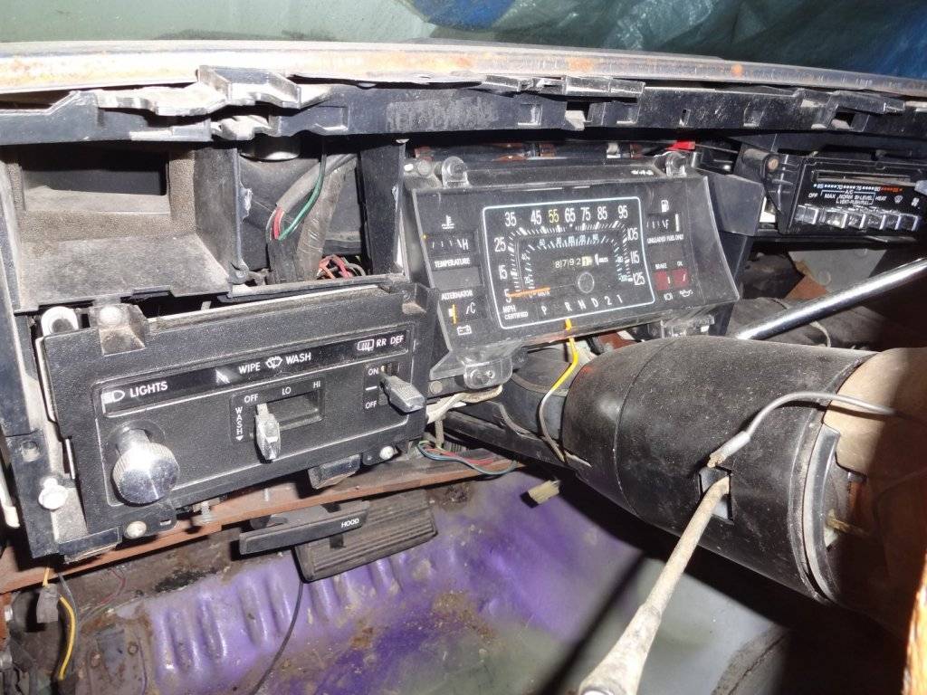 DSC02896 (Large).JPG