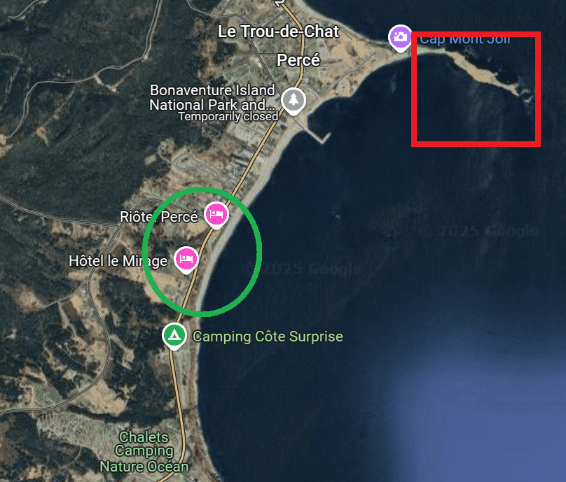 flappers 1923 Peerless.png