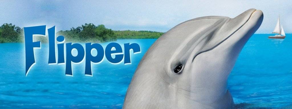 flipper.jpg