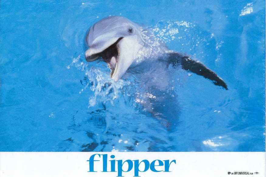 FLIPPER_3.jpg