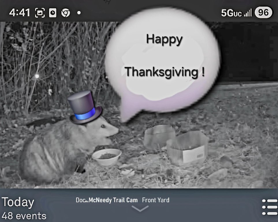 front yard visitor.jpg