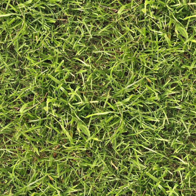 Grass+03+seamless.jpg