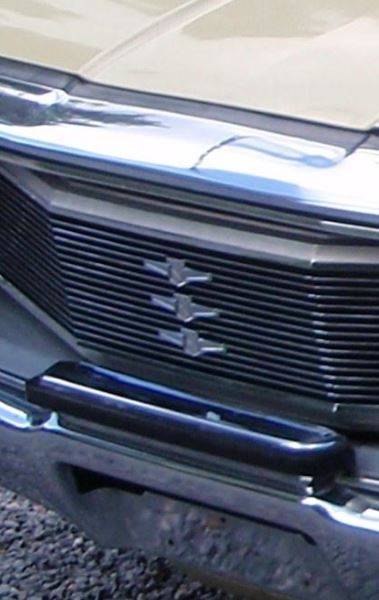 grille emblem.JPG