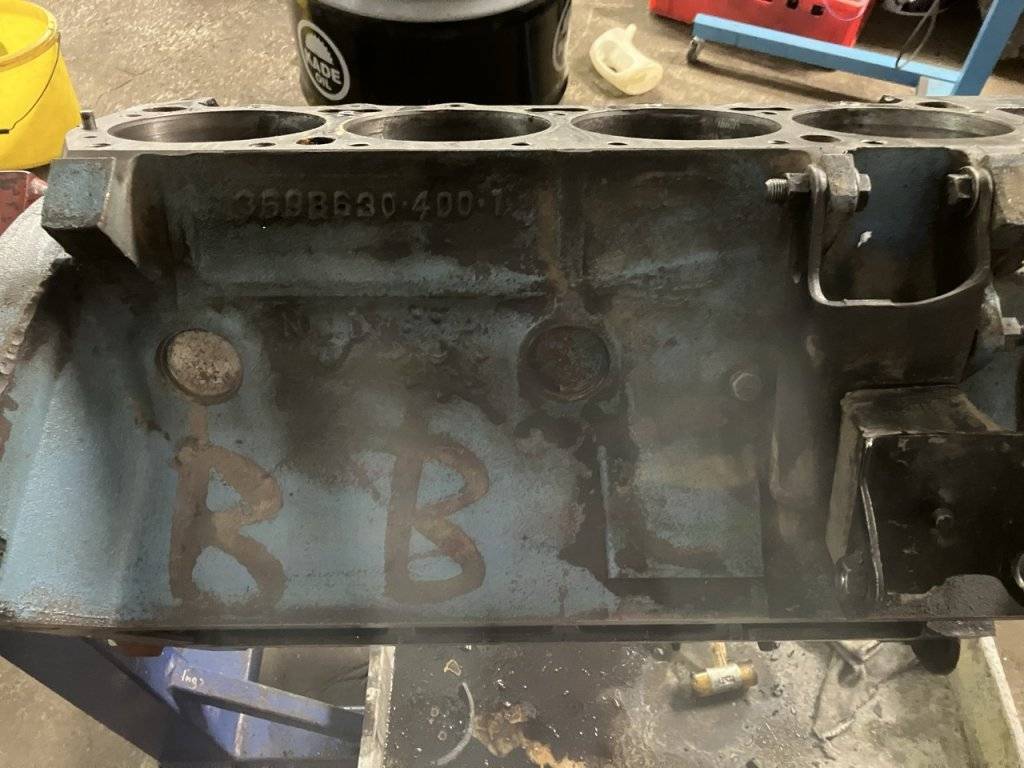 Groß (IMG_1814).jpeg