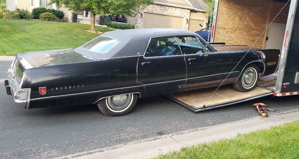 Iggy from Canada.jpg