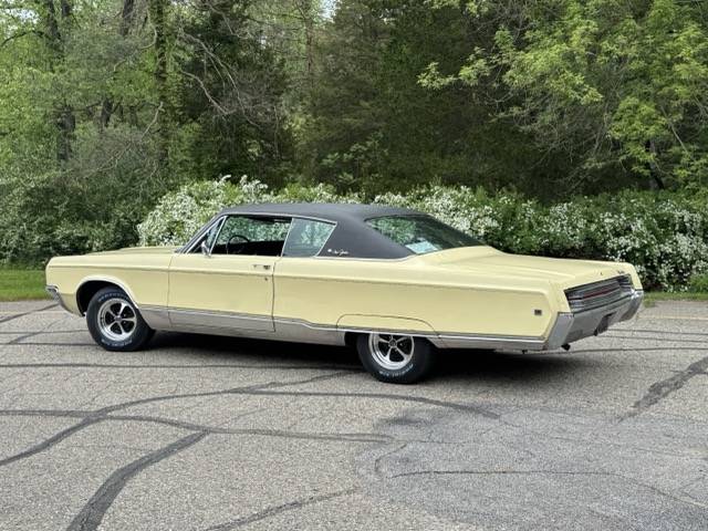 IMG_5934 Medium.jpeg