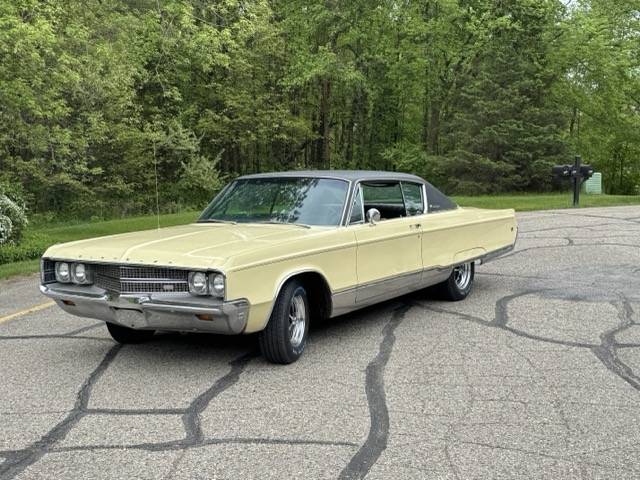 IMG_5936 Medium.jpeg