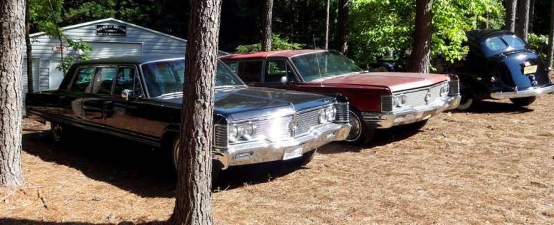 imperial lemos in soddy daisy (Large).jpg