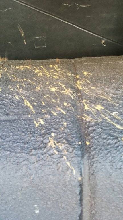 Imperial trunk rear closeup.jpg