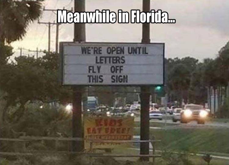 MEANWHILE.IN.FLORIDA.jpg