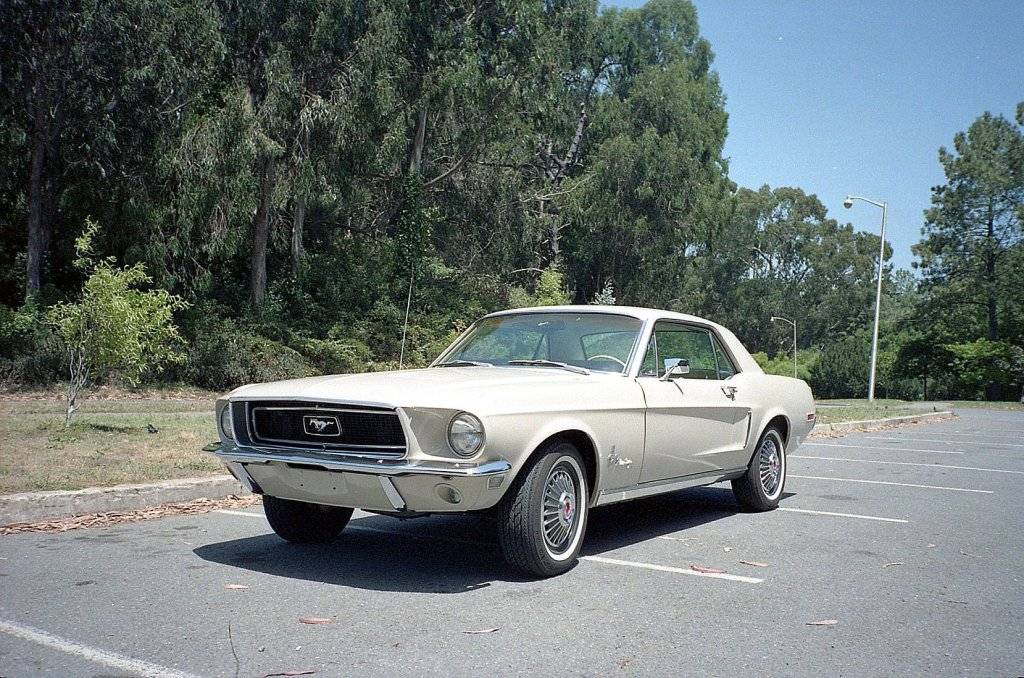 Mustang_GGPark_001.jpg