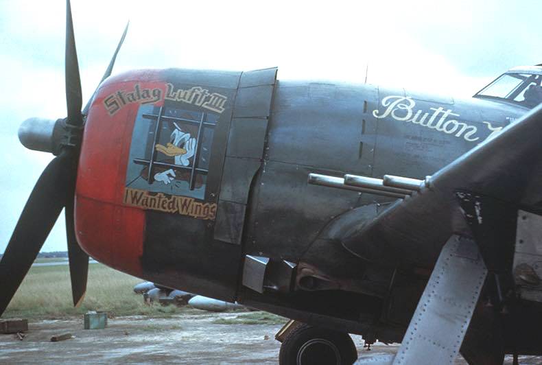 p47 nose art.jpg