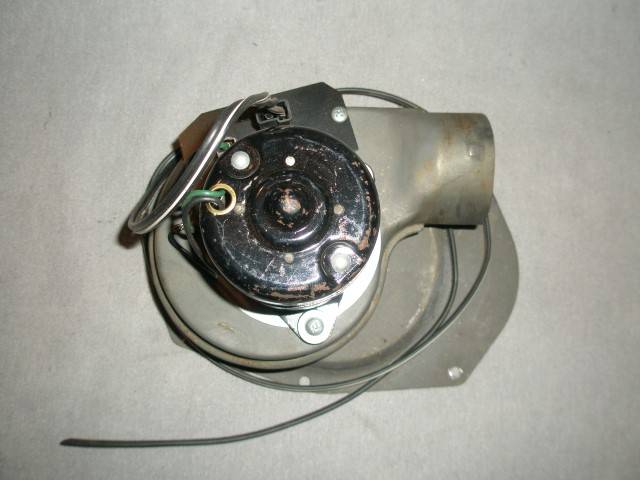 P7250007 (Small).JPG