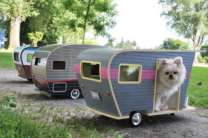 pet-campers-07.jpg