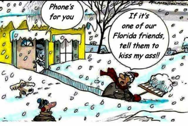 phones-for-you-one-of-our-florida-friendsa-tell-them-to-kiss-my-assa-foIwW.jpg