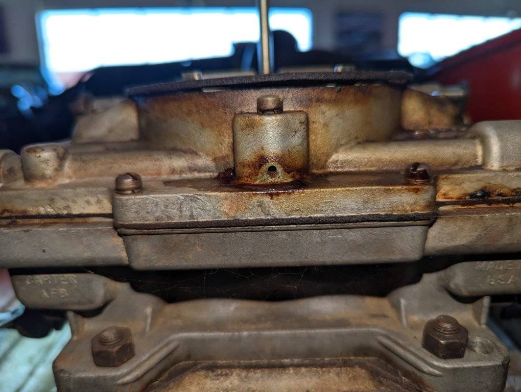 PXL_20230215_153105462 - Copy.jpg