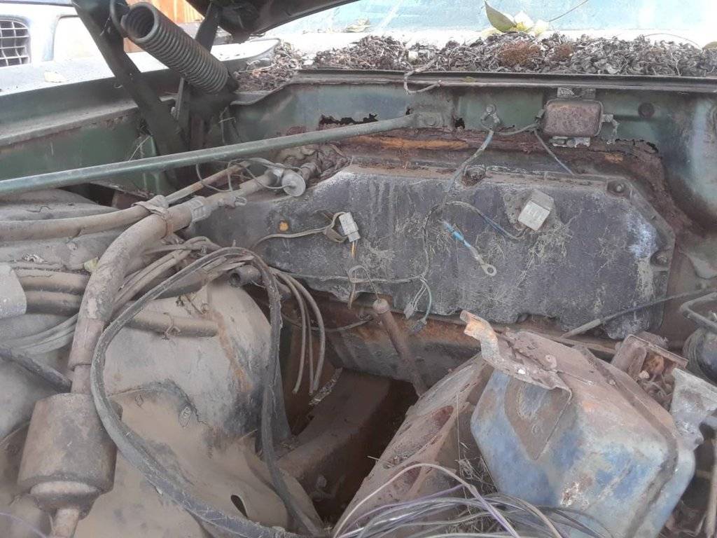 rusted firewall 1.jpg