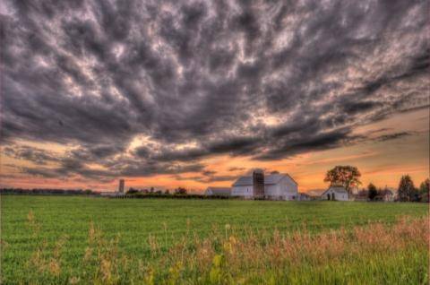 schwartz 3 bracket.jpg