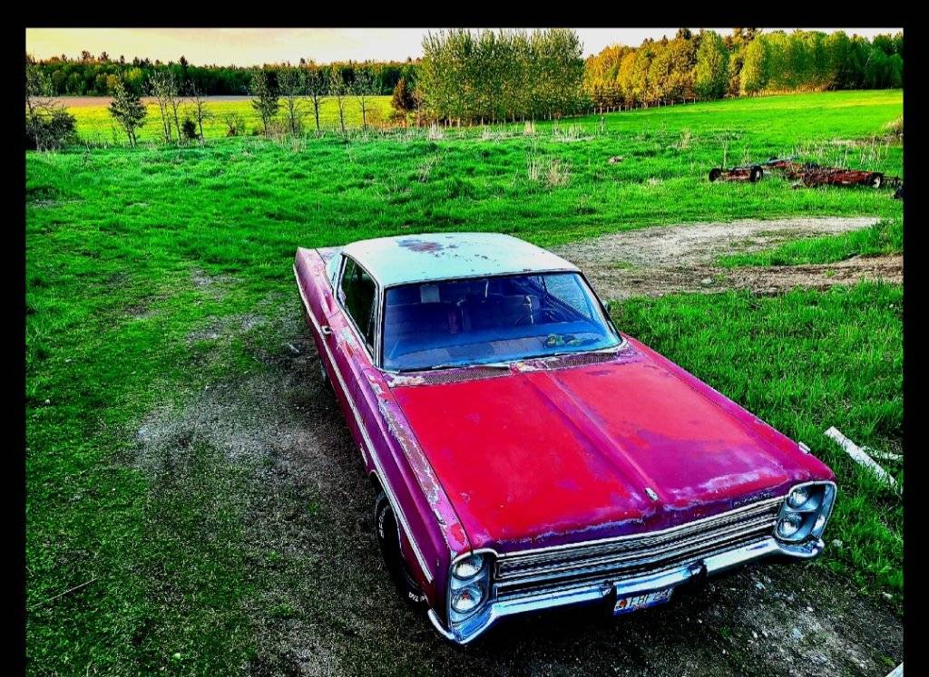 Screenshot_20250410_015903_Photo Editor.jpg